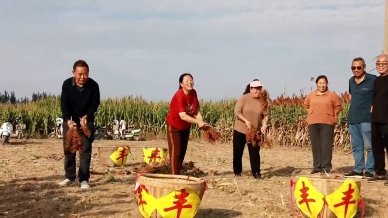 新华视点｜金秋文旅亮点纷呈消费新场景激发经济强劲动能