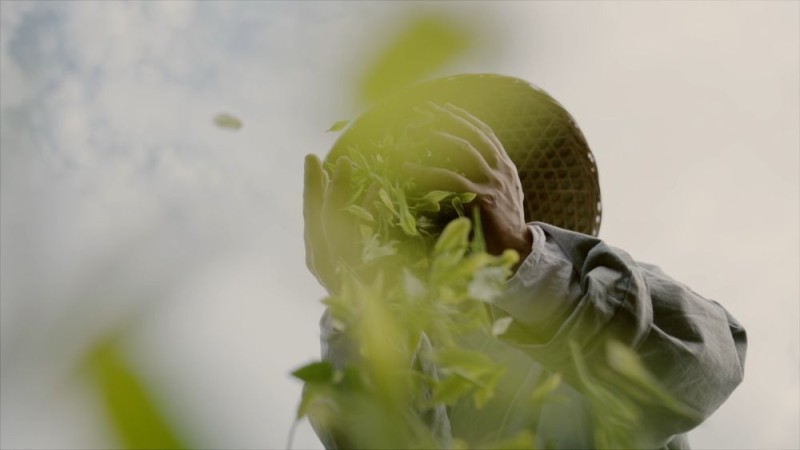 新华视点｜系列纪录片《大径山》第一集：参山