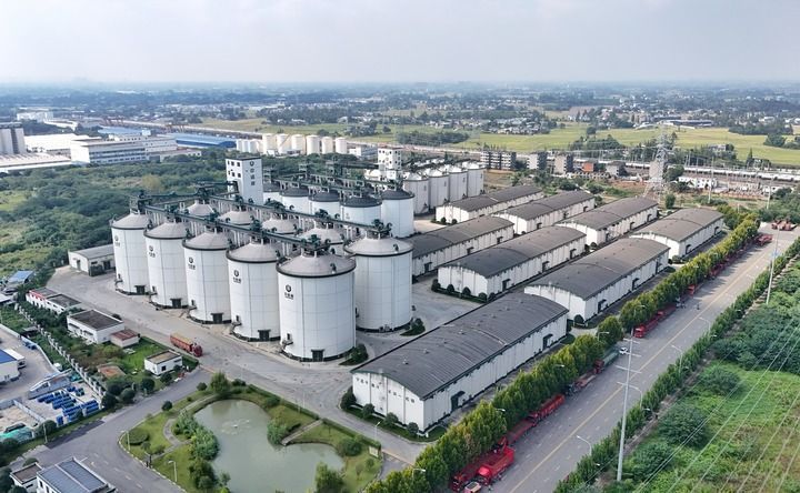 端牢中国饭碗 共护大国粮仓――写在第45个世界粮食日到来之际