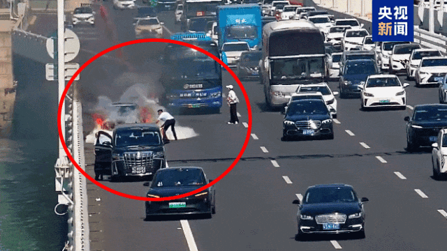 7点出发|小心“飞行的硫酸”!有人32楼家中被隐翅虫“占领”