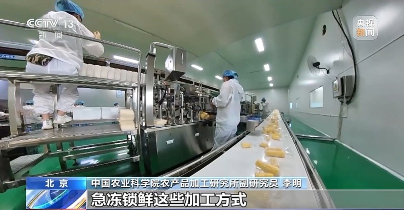 如何挑选口感好品质佳的鲜食玉米?这份指南请收好