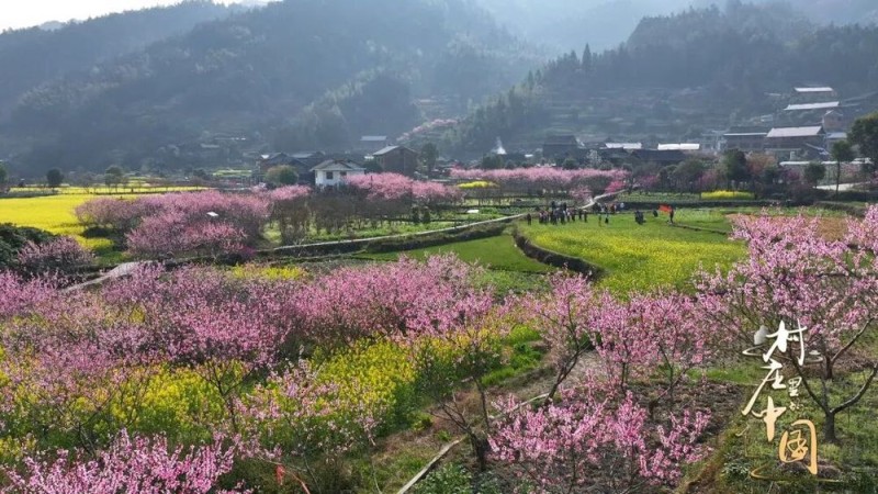 守护文化根脉  大型人文纪录片《村庄里的中国》即将播出