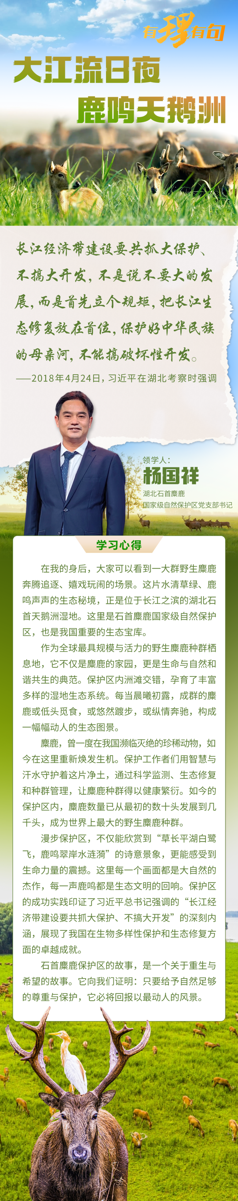 【有理有句】大江流日夜，鹿鸣天鹅洲