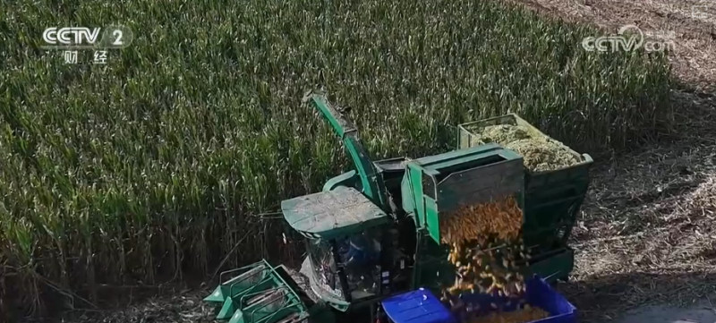 多举措协同全力推进秋收 高科技农机与时间“赛跑”抢收抢种