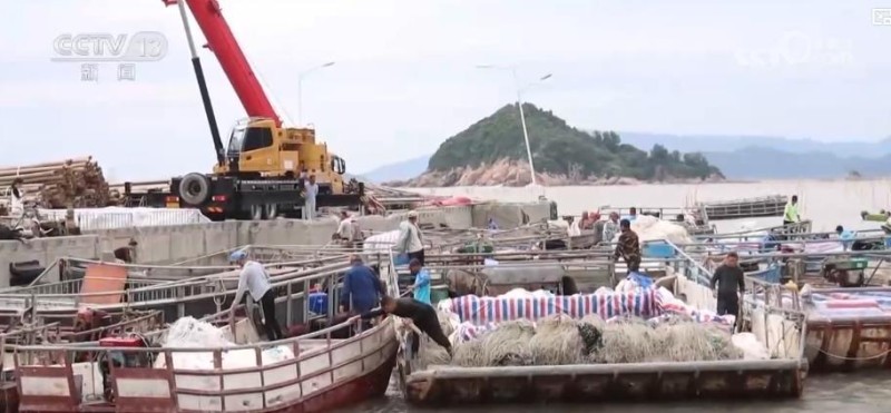 金秋中国丰收图景：山楂红、苹果甜、紫菜鲜，特色产业拓宽乡村振兴路