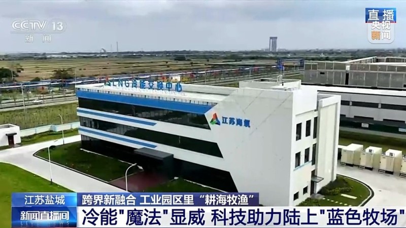 液化天然气储备基地里能养三文鱼？冷能解锁“冷经济”