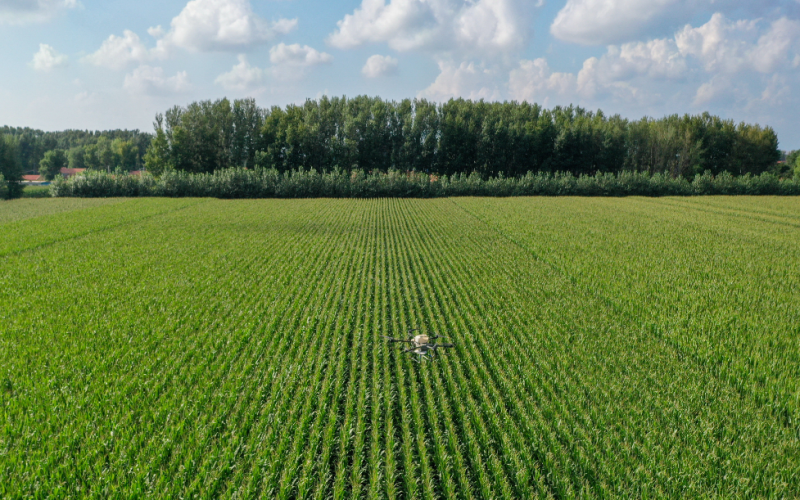 理响中国｜1.4万亿斤的跨越
