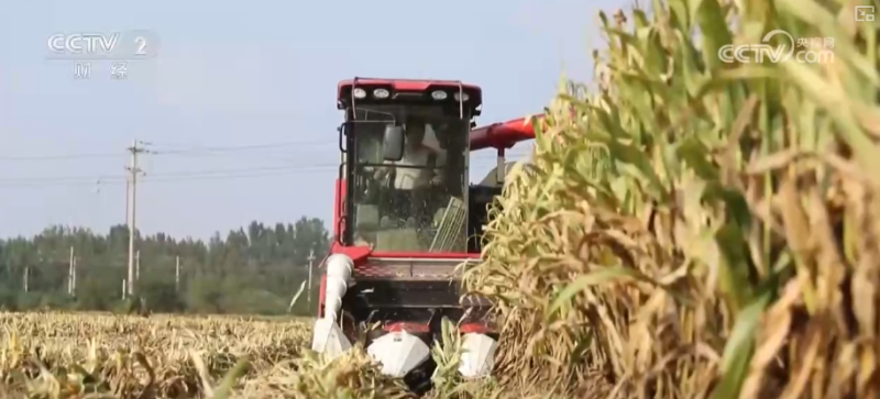 多举措协同全力推进秋收 高科技农机与时间“赛跑”抢收抢种