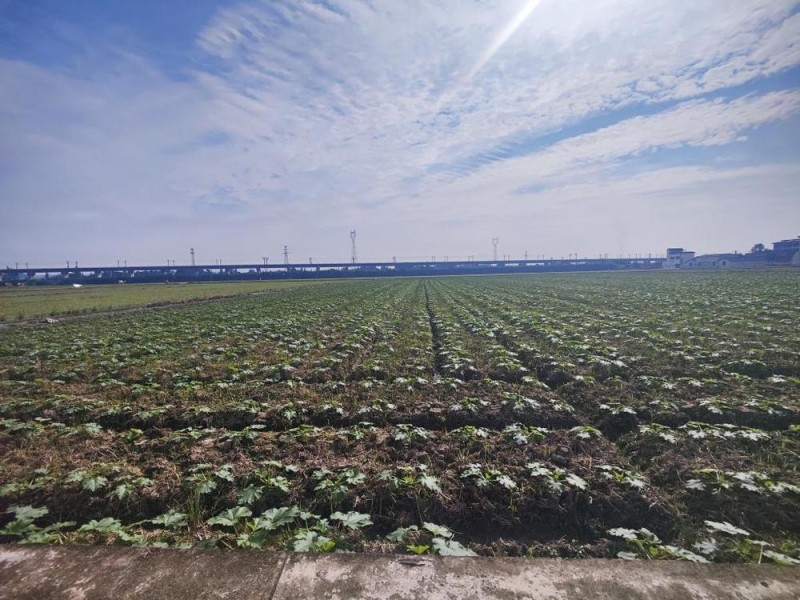 科技赋能，解锁新时代大国粮仓的“智慧密码”