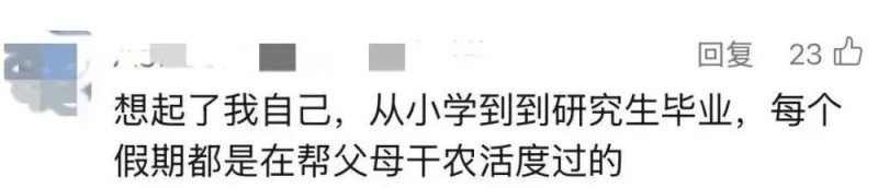 “我多弯一次腰,父母就少吃一点苦!”大学生8天假期掰了7天半玉米