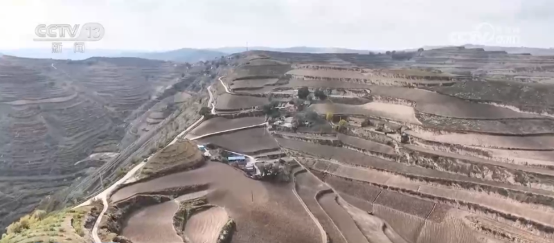 希望的田野迎来丰收季 五彩果蔬描绘乡村振兴新画卷