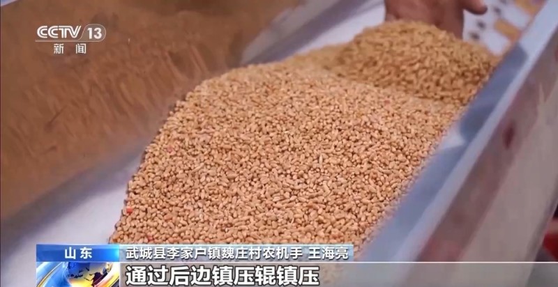 视频丨全国秋粮收获已过八成半 冬小麦播种加快推进