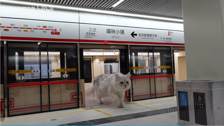 一边上头一边反胃，AI 猫片为何让人停不下来