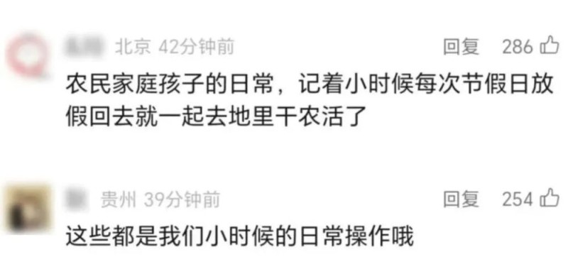 “我多弯一次腰,父母就少吃一点苦!”大学生8天假期掰了7天半玉米