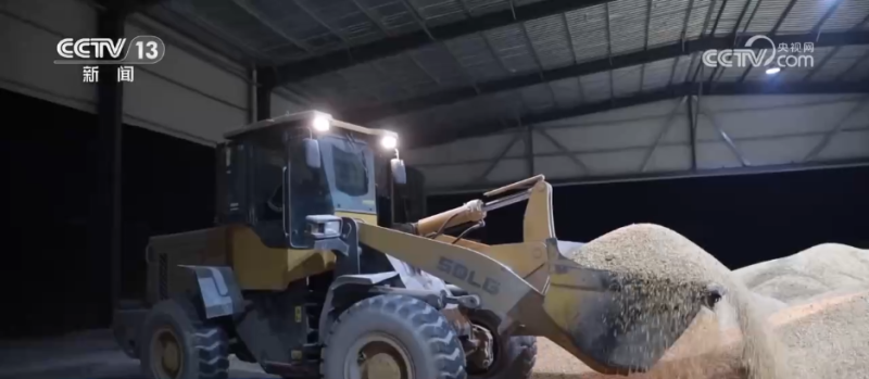 “干”字当头！各地多举措保“三秋”生产 全力守护群众“粮袋子”