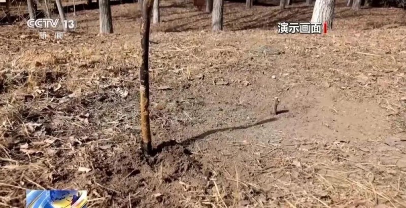 6人走“逃票线路”被困 迷路看影子也能辨方向 登山安全指南→