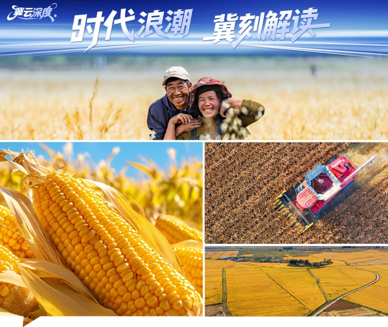 冀云深度丨中国饭碗，穰穰满家