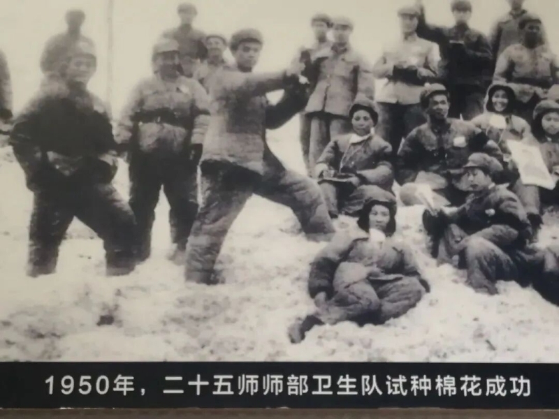 一朵新疆棉 从“小”开到“大”