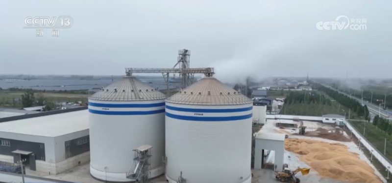 “干”字当头！各地多举措保“三秋”生产 全力守护群众“粮袋子”