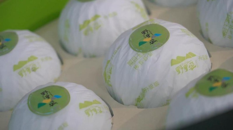 新华视点丨金秋丰收绘新景 乡村振兴谱华章