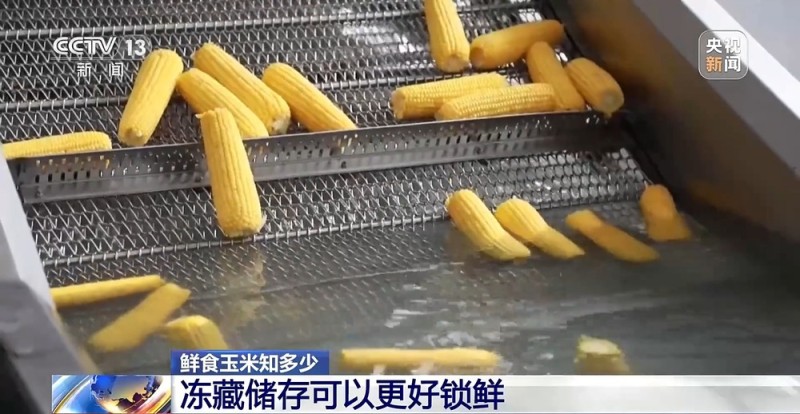 如何挑选口感好品质佳的鲜食玉米?这份指南请收好
