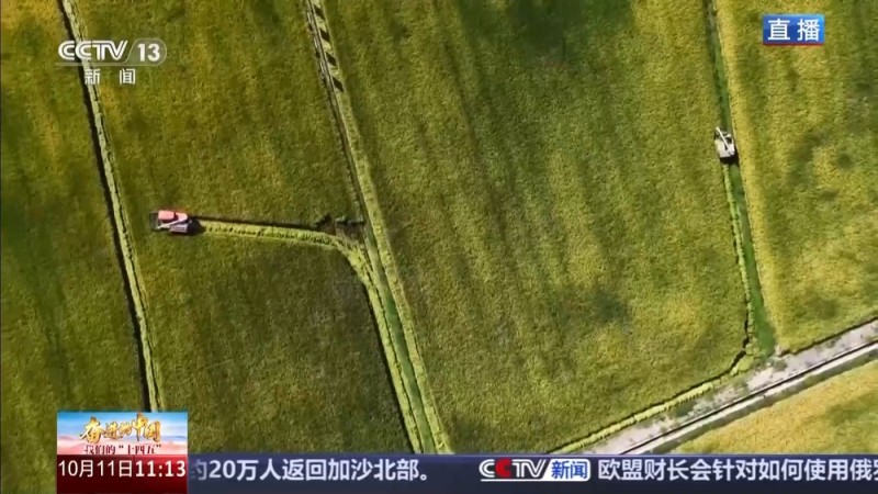 科技赋能单产提升 记者探访“大国粮仓”第一线