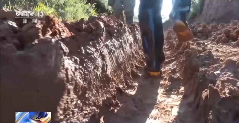 降雨导致秋粮受灾 与时间赛跑无人机助力抢收
