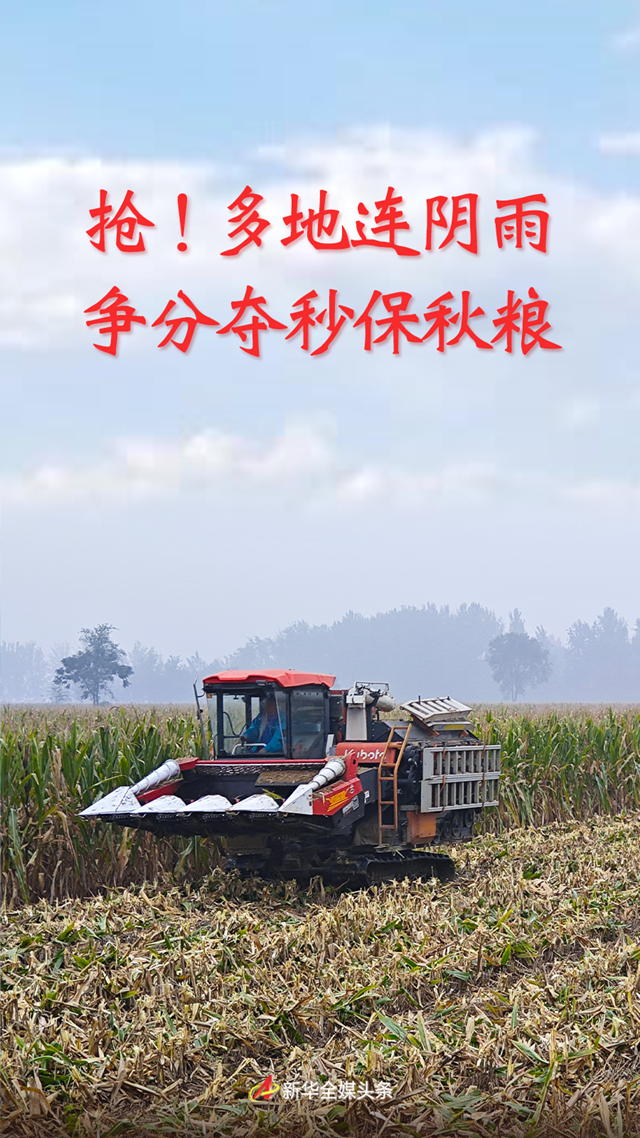 抢!多地连阴雨 争分夺秒保秋粮