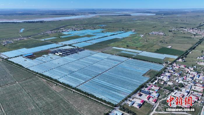 黄河“几字弯”丰收图鉴:从“一季旺”到“四季兴”