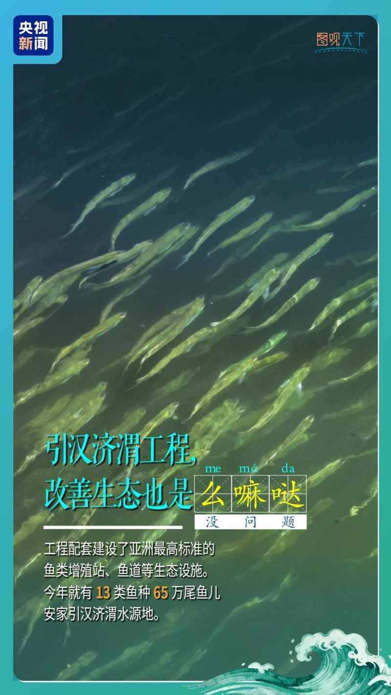 行走江河看中国丨南水穿秦岭,引汉济渭“嘹咋咧”!