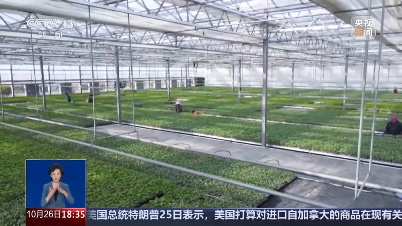 从实验室、生产线到千里沃野 解锁农业“新吃法”“新玩法”