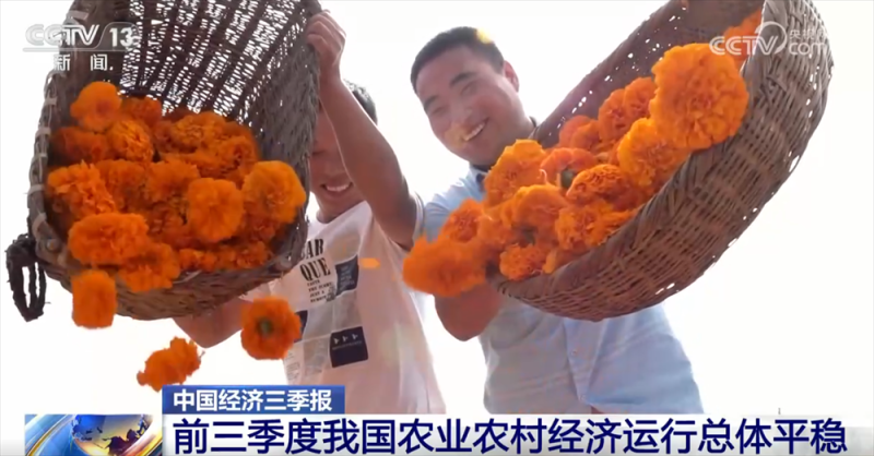 透过数据看前三季度“三农”成绩单 为经济社会高质量发展提供有力支撑