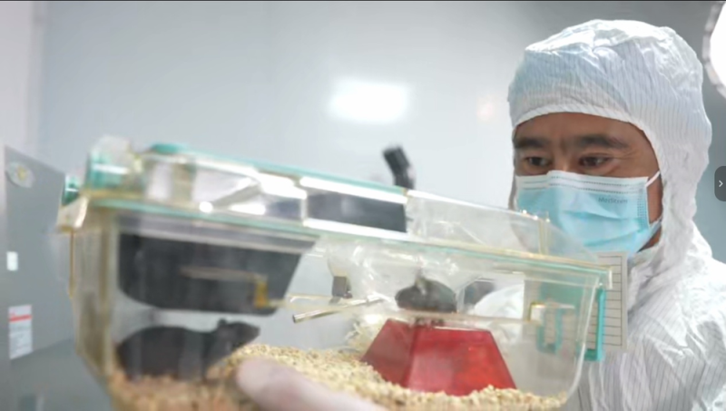 “动物航天员”队伍上新!小鼠如何完成奇妙的太空之旅?