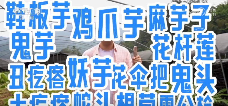 “土疙瘩”在创新中华丽转身为“中国新特产” 滋味千年幻化身形行销世界