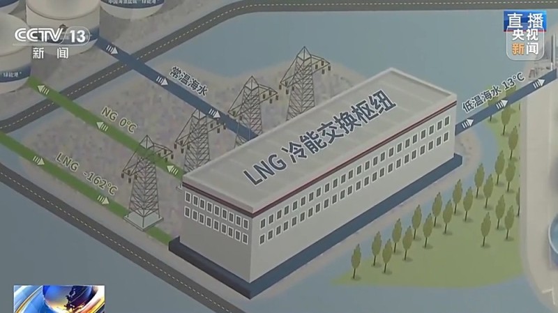 液化天然气储备基地里能养三文鱼？冷能解锁“冷经济”