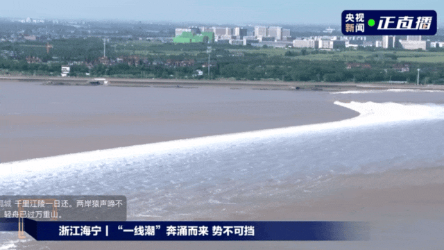 230斤小伙酒后落入钱塘江，漂浮7小时终获救