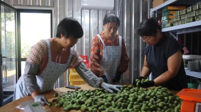 新华视点丨金秋丰收绘新景 乡村振兴谱华章