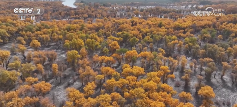 “斑斓秋色+新潮玩法”点燃赏秋游新热力 文旅新消费活力十足