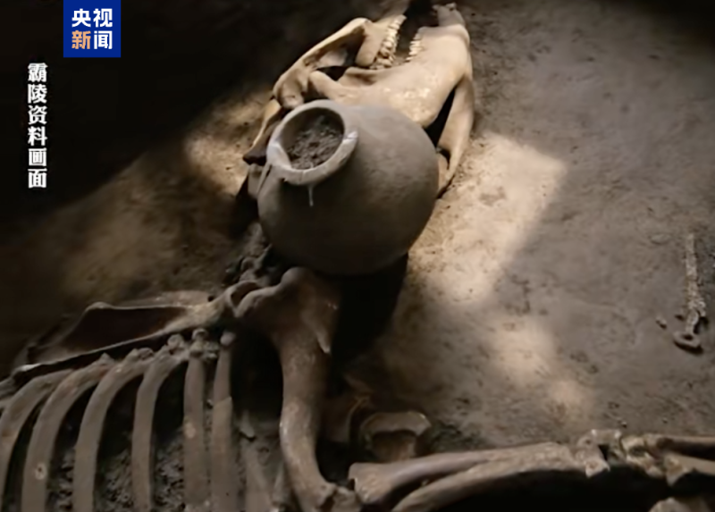 考古学家确认汉文帝霸陵出现“进口宝马”