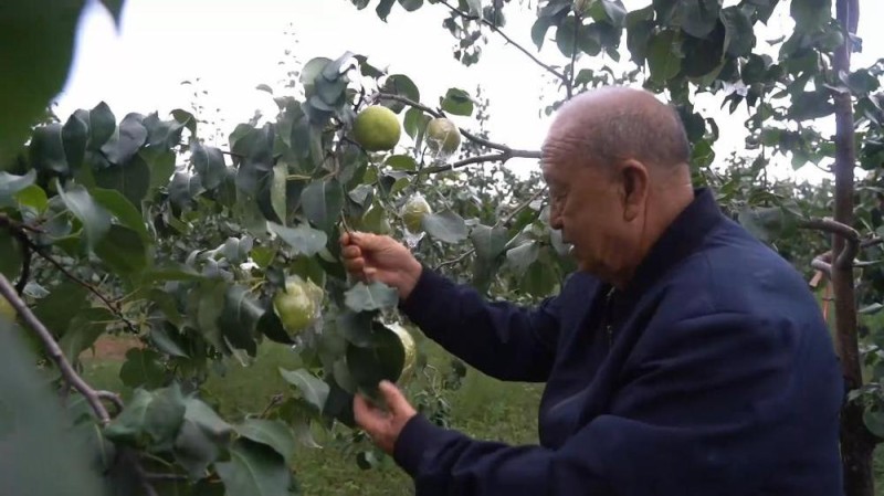 新华视点丨金秋丰收绘新景 乡村振兴谱华章