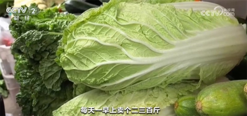 冬储菜上市热销保障公众秋冬季“菜篮子”供应 “一元菜”受欢迎