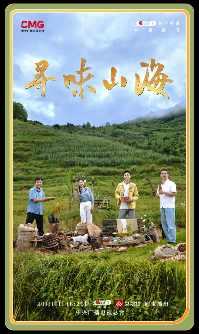 总台周末看点丨点开！元气满满