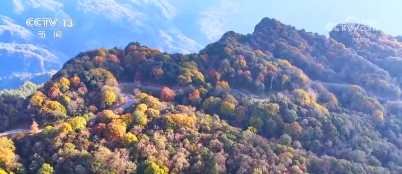 各地迎来秋日“限定版”美景 “文旅+”新场景新业态激发“赏秋经济”活力