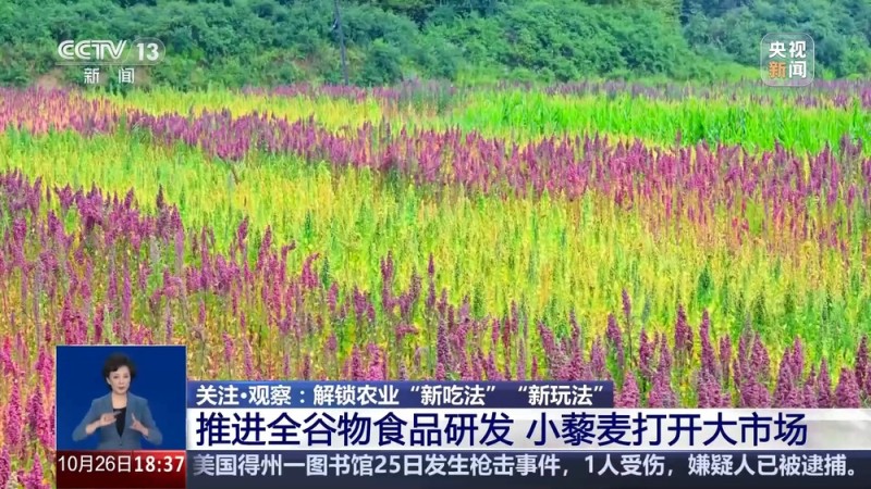 从实验室、生产线到千里沃野 解锁农业“新吃法”“新玩法”