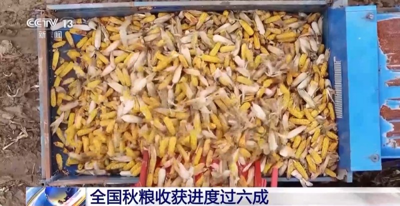 全国秋粮收获进入高峰期 进度过六成