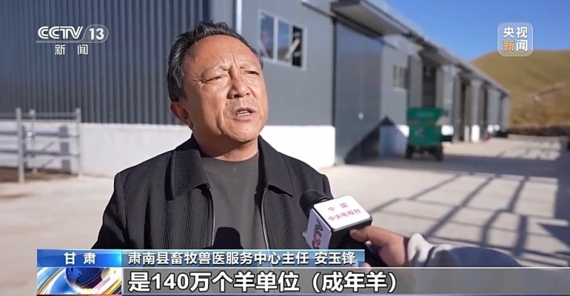 65万牛羊异地过冬 借牧双方资源互补催生产业新模式