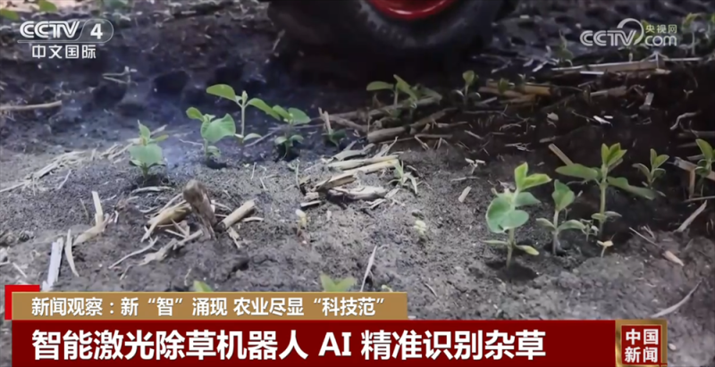 新“智”涌现助力中国智慧农机“出海”提速 农业尽显“科技范”