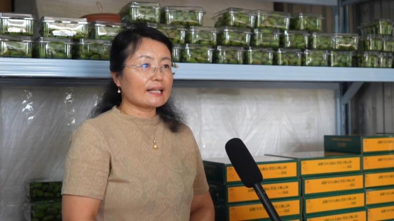 新华视点丨金秋丰收绘新景 乡村振兴谱华章