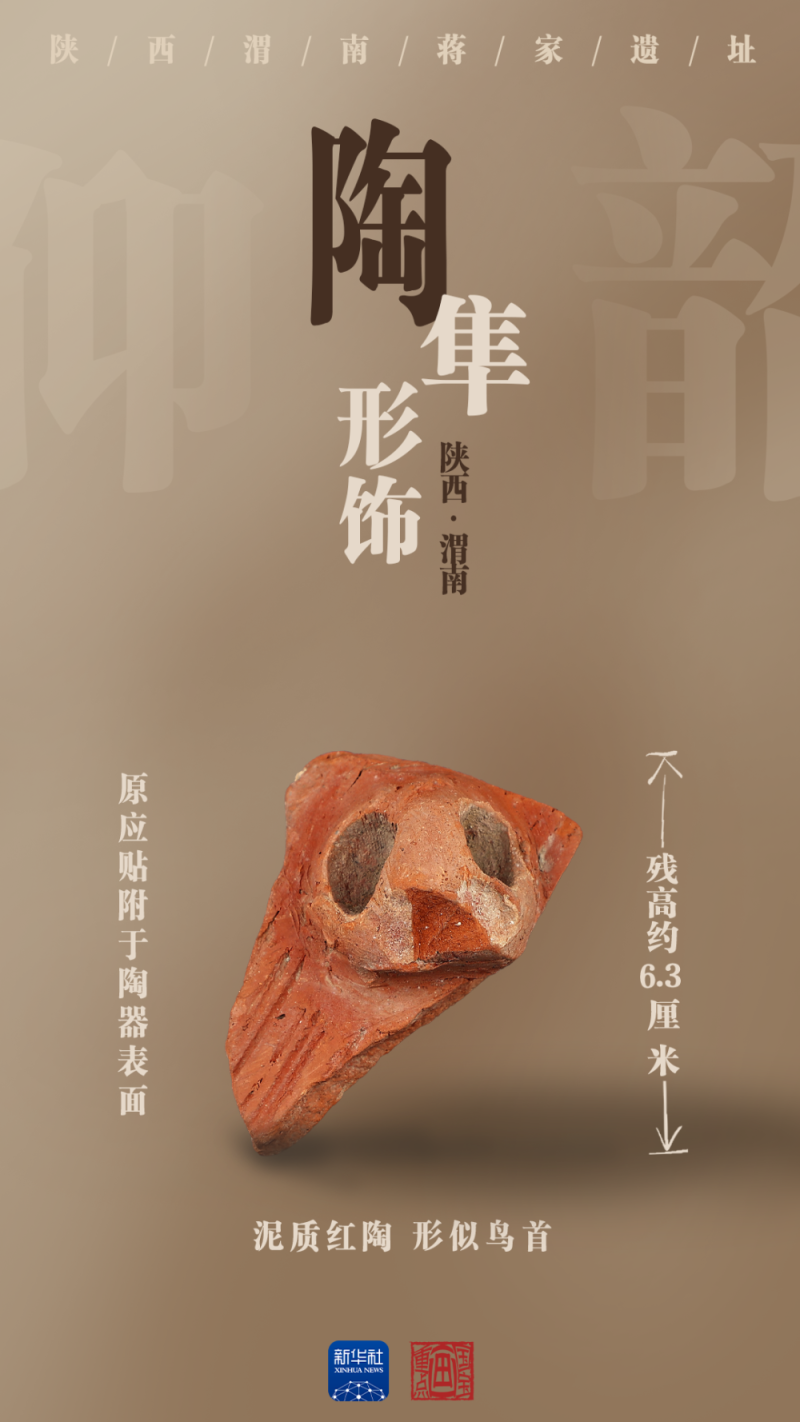 国宝画重点｜陶器上新！陕西蒋家遗址展现史前文明景象