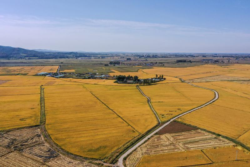 冀云深度丨中国饭碗，穰穰满家